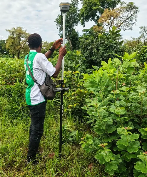 Bornage par un agent du Cadastre pour le compte d'un client de la diapora dans la region de Bobo_ Dioulasso.