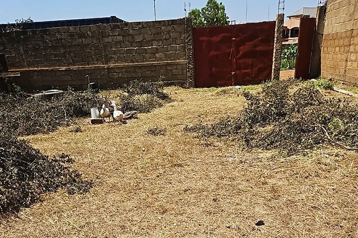 Securisation de terrain, verification physique, plan cadastral, guiche unique.